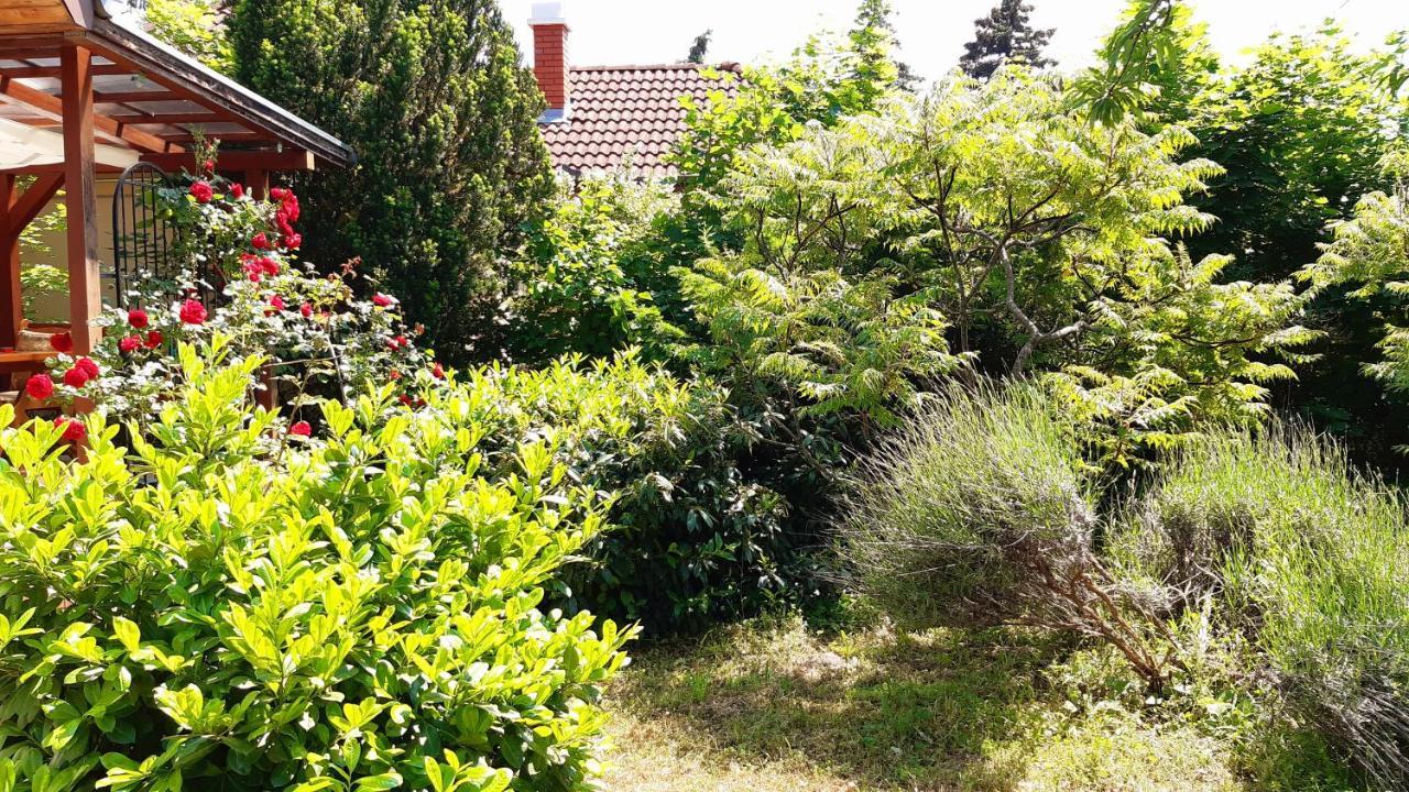 Szalakota Haz Βίλα Balatongyörök Εξωτερικό φωτογραφία